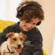 Silvercrest Bluetooth Over-Ear Kopfhörer – Gute und günstige LIDL Kopfhörer (Bluetooth 5.3, 16 Stunden Laufzeit, Active Noise Cancelling, USB-C Ladeanschluss)
