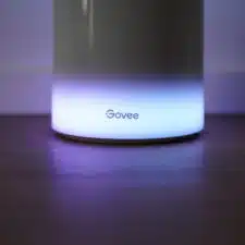 Govee Floor Lamp 2