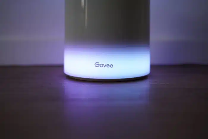 Govee Floor Lamp 2