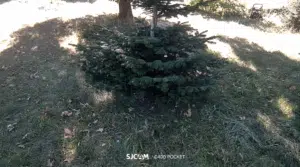 SJCAM C400 Action-Kamera Video
