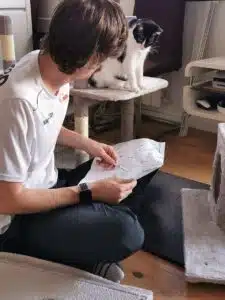 AliExpress Kratzbaum