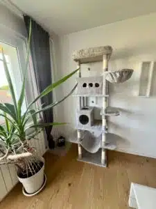 AliExpress Kratzbaum