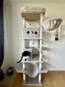 AliExpress Kratzbaum