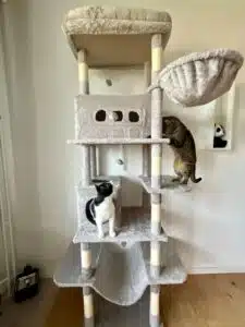 AliExpress Kratzbaum