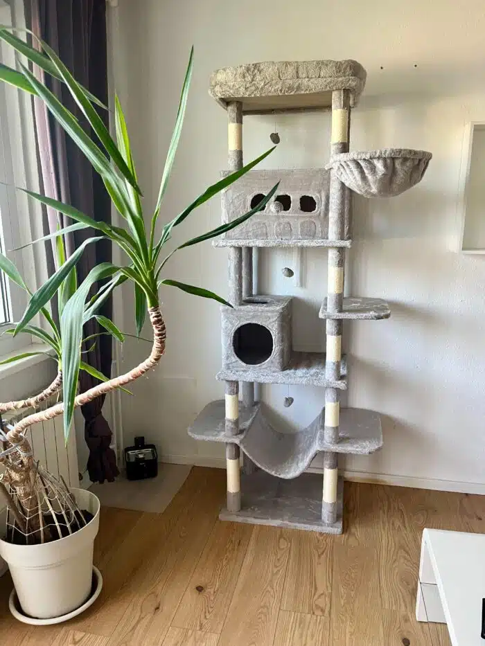AliExpress Kratzbaum