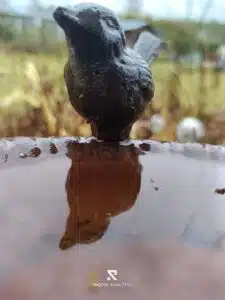 RugOne Xever 7 Pro Bilder Hauptkamera