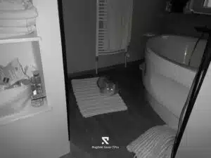 RugOne Xever 7 Pro Bilder Nachtsicht