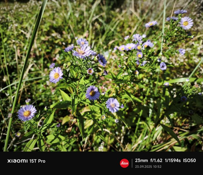 Xiaomi 15T Pro Bildvergleich