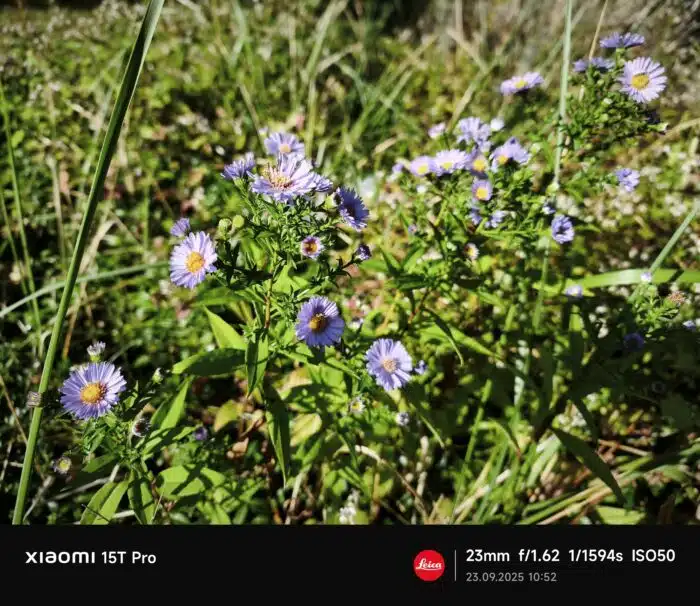 Xiaomi 15T Pro Bildvergleich
