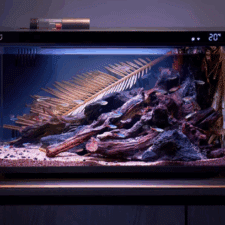 Xiaomi Mijia Smart Aquarium