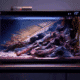 Xiaomi Mijia Smart Aquarium – Wenn Fische smarter wohnen als du (Smart-Home-Steuerung, automatischer Futterspender, wartungsarmes Filtersystem, LED-Licht mit RGB, App-Integration)