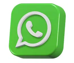 WhatsApp icon