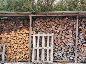 Poco F8 Pro Kamera Zoom