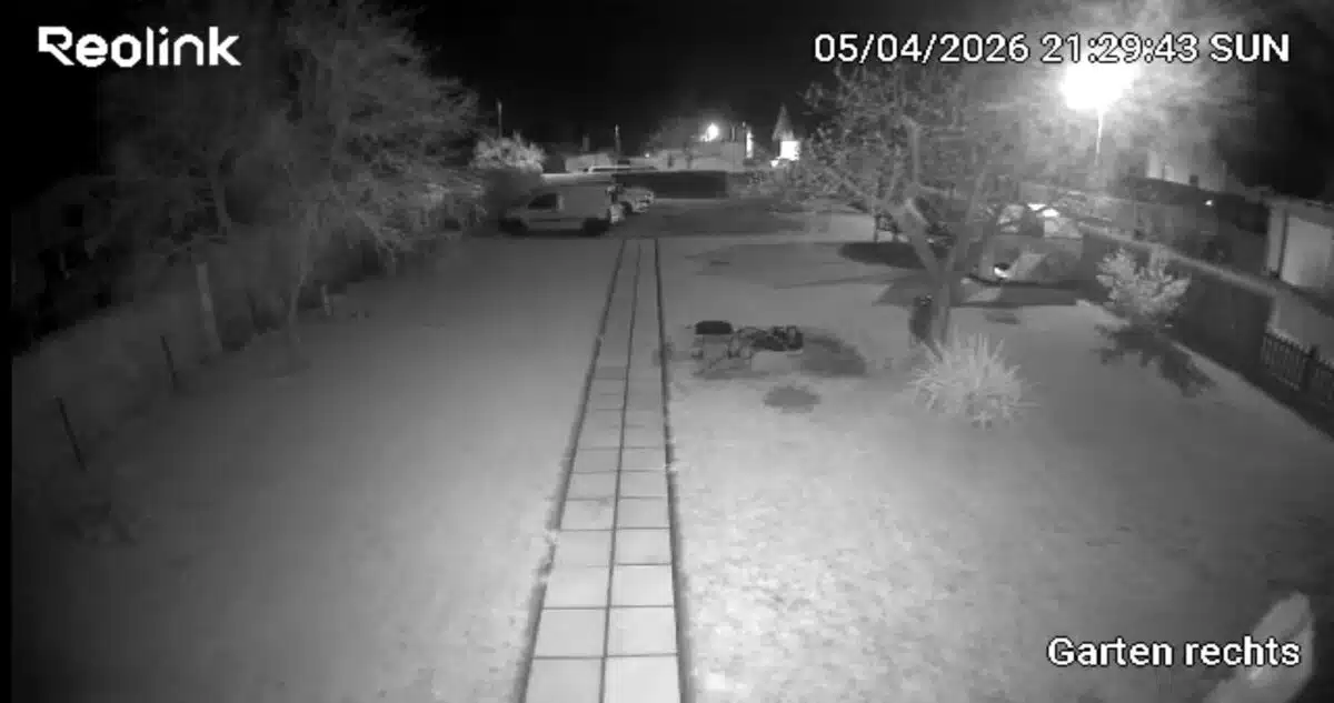 Reolink Solar Floodlight Cam