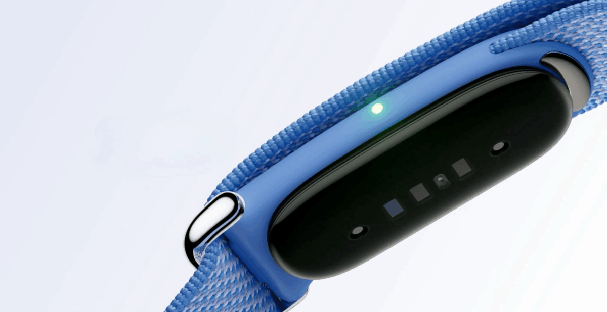 Google Fitbit Air