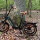 Lankeleisi GOLF X – Klapp E-Bike mit ordentlich Power (1000W Peak Motor, Samsung 960Wh Akku, Fat-Reifen, hohe Reichweite, Faltmechanismus, Vierkolbenbremsen, hohe Zuladung)