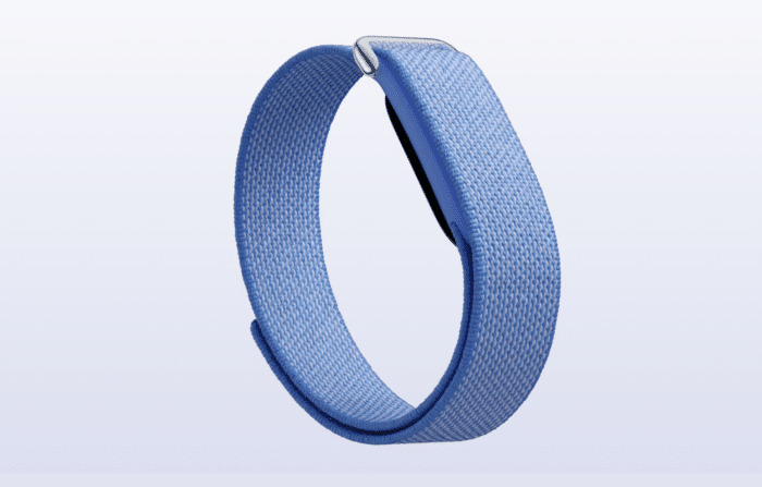 Google Fitbit Air