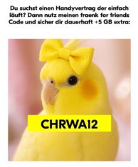 Kommentarbild von Christoph W