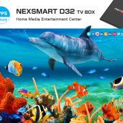 NEXSMART D32 TV Box Armcortex A7 Quad Core